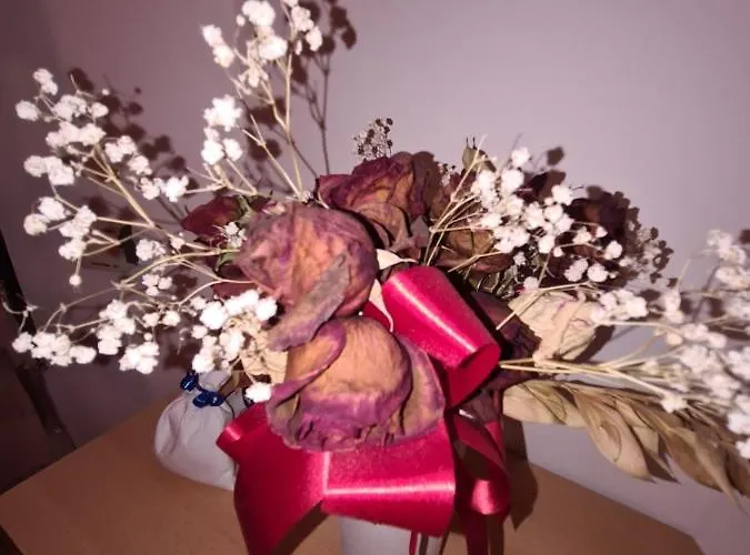 Lägenhet Antonio Opatija