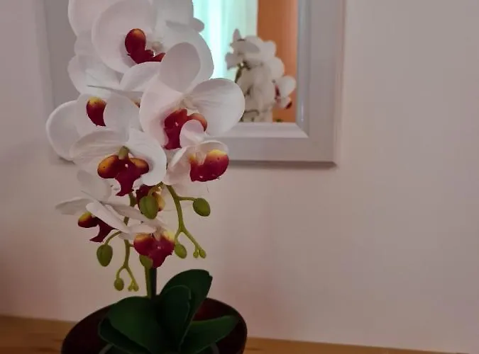 Lägenhet Antonio Opatija