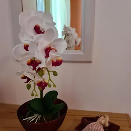 Apartamento Antonio Opatija