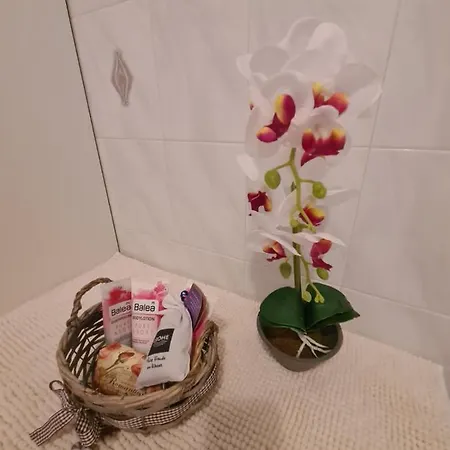 Apartament Antonio