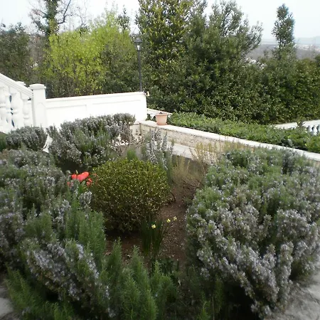 Apartament Antonio