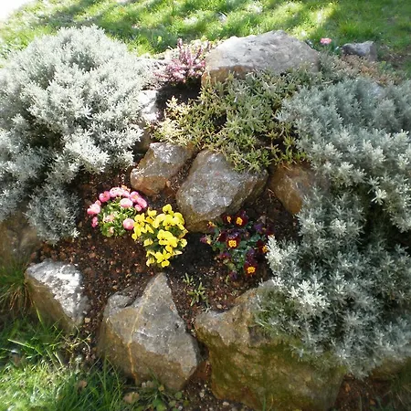 Appartement Antonio *