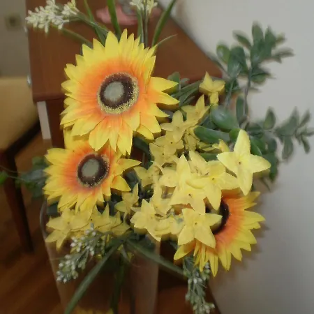 Antonio Appartement *